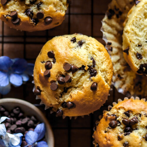 The best chocolate chip muffin recipe - Baking in the Penthouse